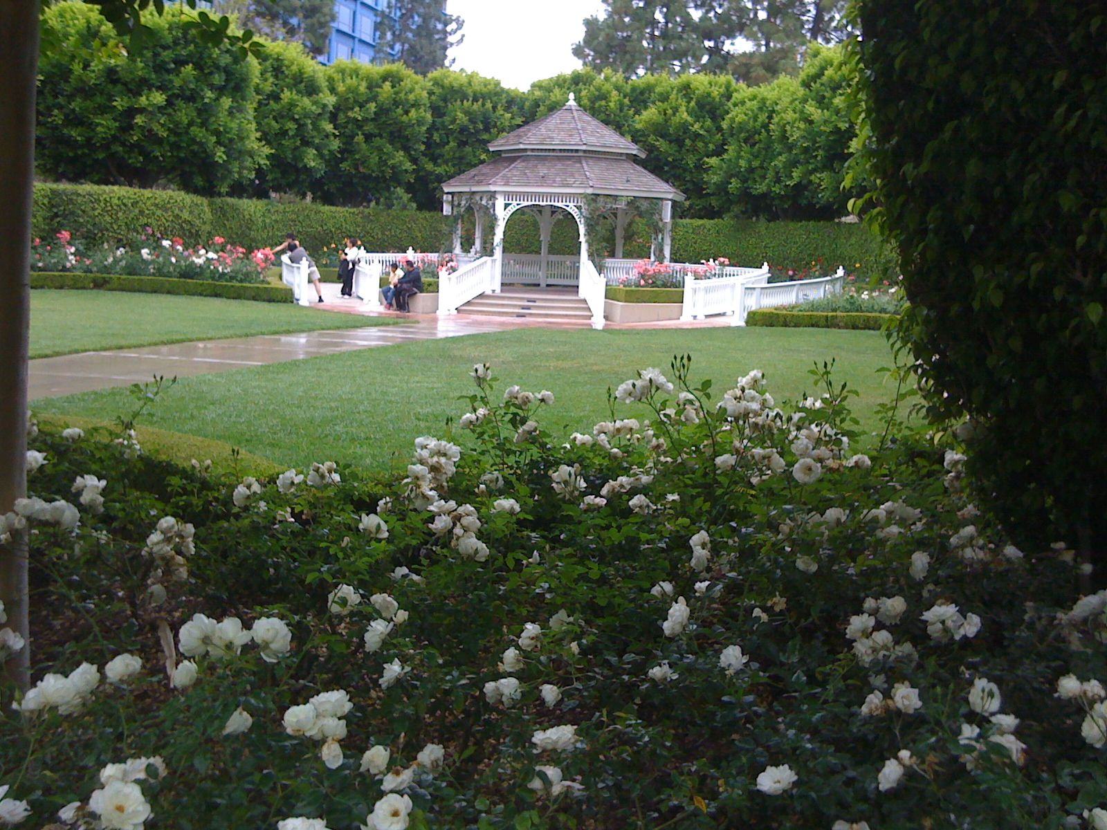 Venue Spotlight: Rose Court Garden // Budget Fairy Tale