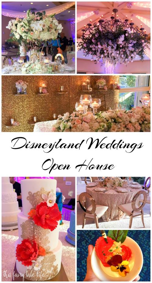 Disneyland Weddings Open House Recap