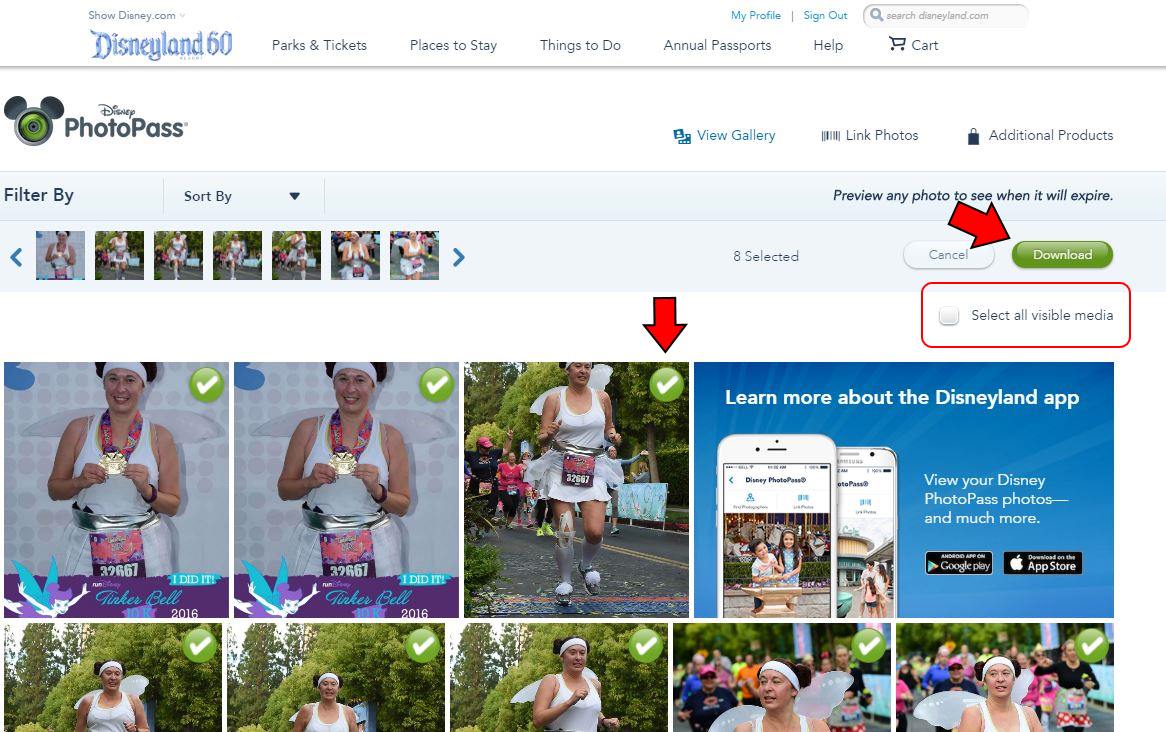 How to Download Your RunDisney PhotoPass Images