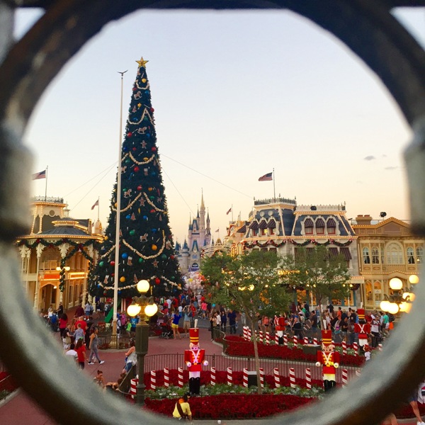 Why We Chose the Holiday Season for our Disney Wedding