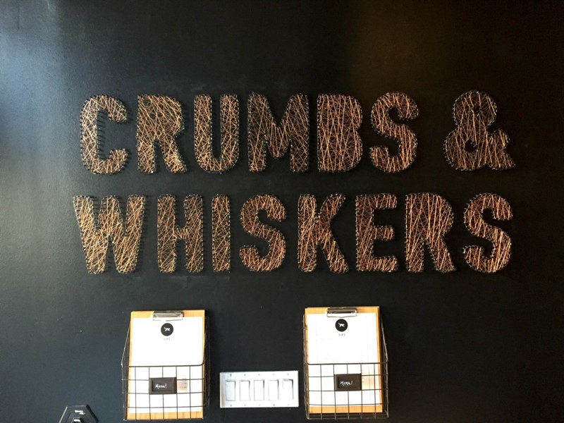 Coffee and Cats are the Purrfect Combo at Crumbs & Whiskers Los Angeles
