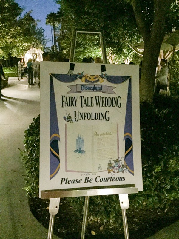 A True Guest Post: Michelle and George's Animation Building Disneyland Wedding