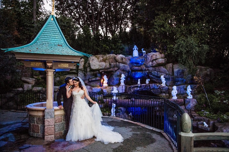 Michelle and Brian's "Happily Ever After" Disneyland Wedding