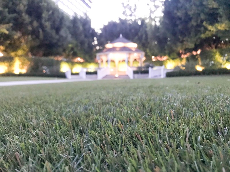 Going Green? Artificial Grass Installed at Disneyland's Rose Court Garden