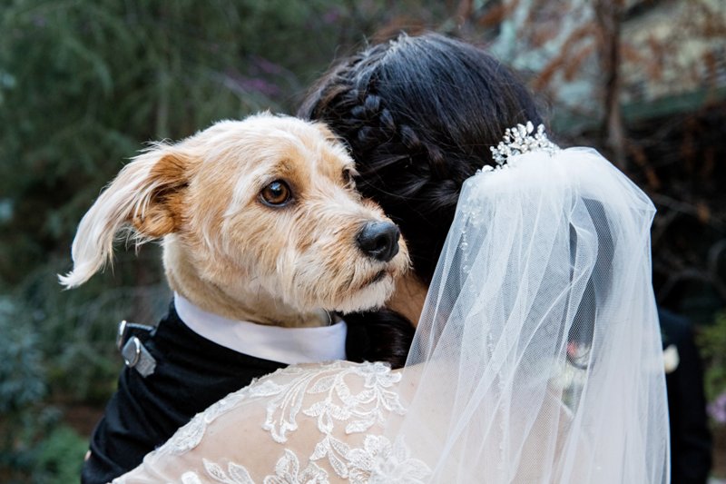 How to Include Your Dog at Your Disneyland Wedding