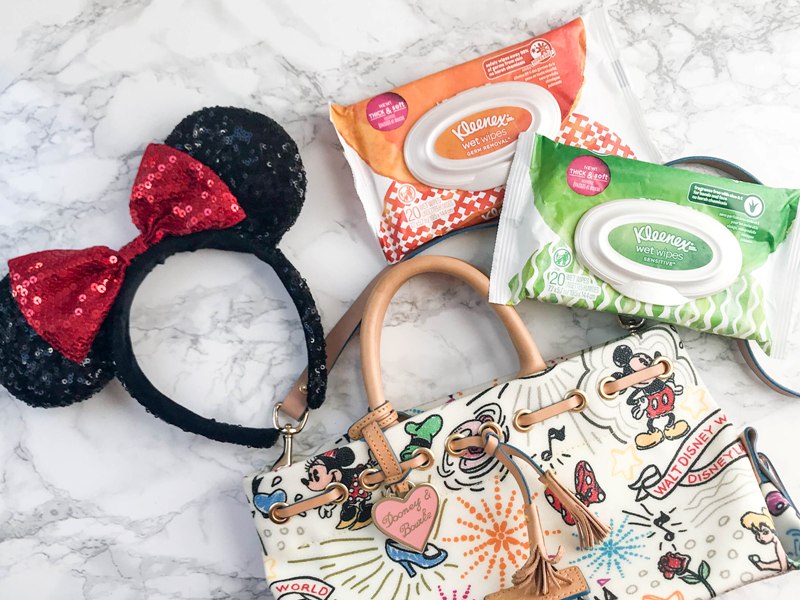 8 Items Disney Foodies Should Pack in Their Bags