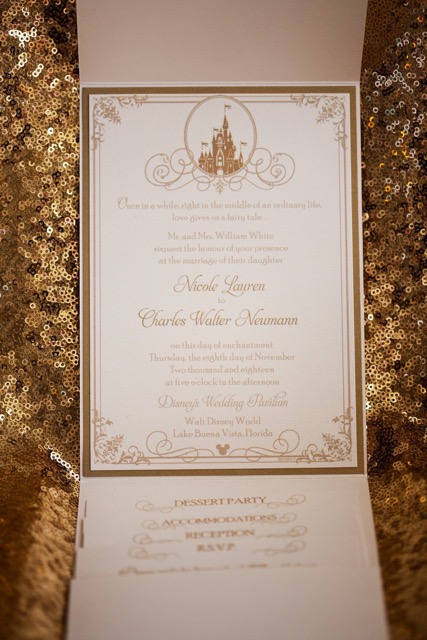 Nicole and Chuck's Magical Walt Disney World Wedding