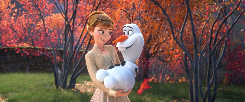 Best FROZEN 2 Merch for Adults - This Fairy Tale Life