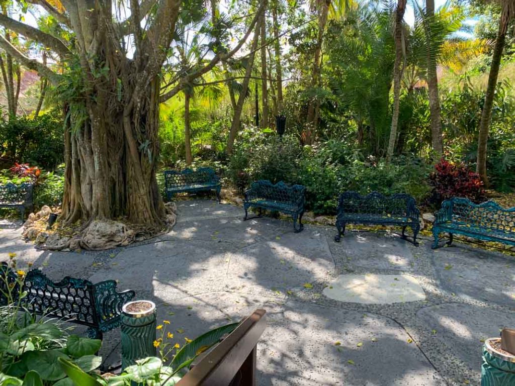 patio with benches and a large tree