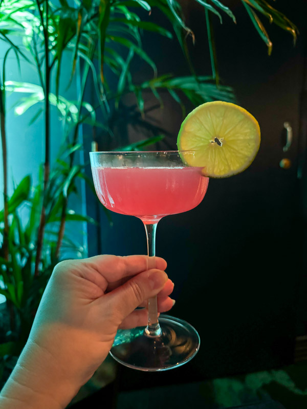A person holding up a pink cocktail in front of a plant at the Disneyland Hotel.