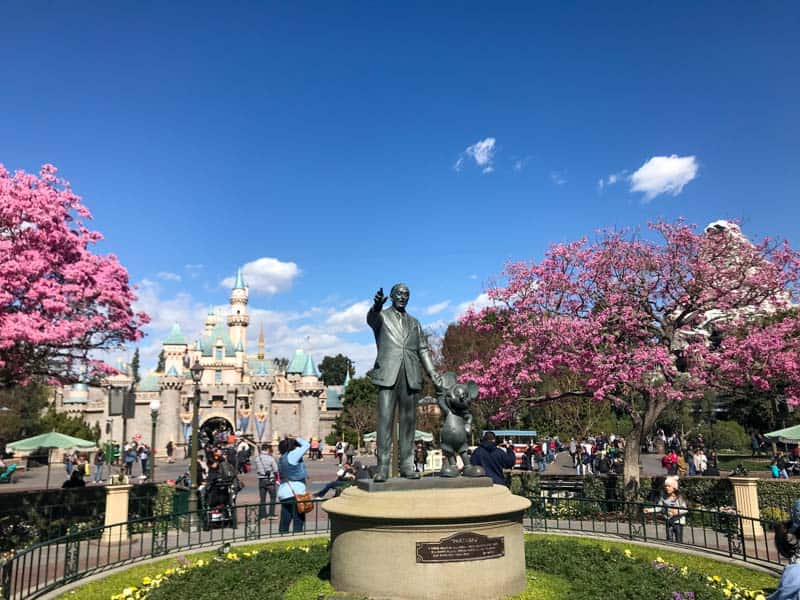 Partners Statue flanked by pink trees at Disneyland