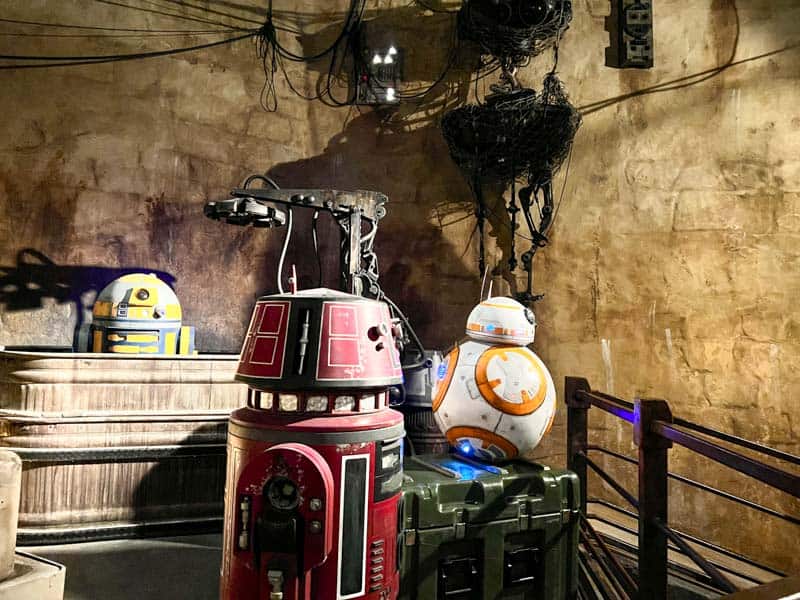 Character Guide: Disneyland After Dark: Star Wars Nite ~ Daps Magic