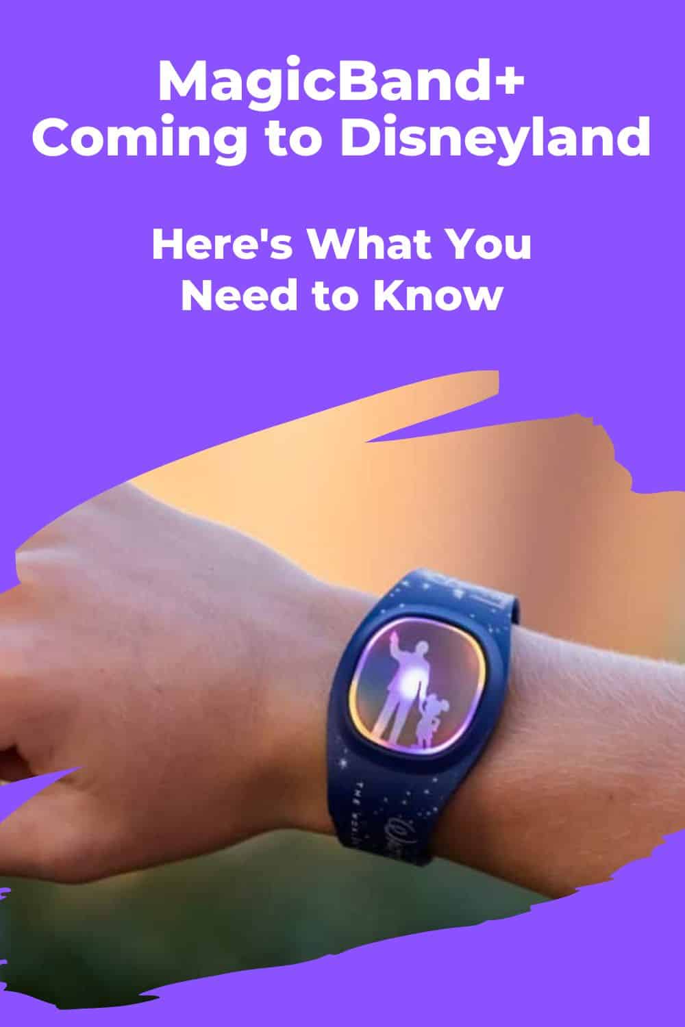 Close up of wrist with MagicBand+ surrounded by purple border and text overlay "MagicBand+ coming to Disneyland, here's what you need to know"