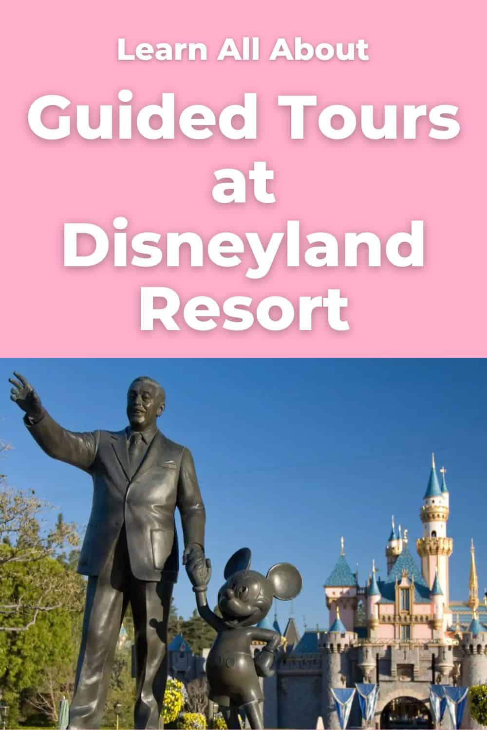 disneyland tour options