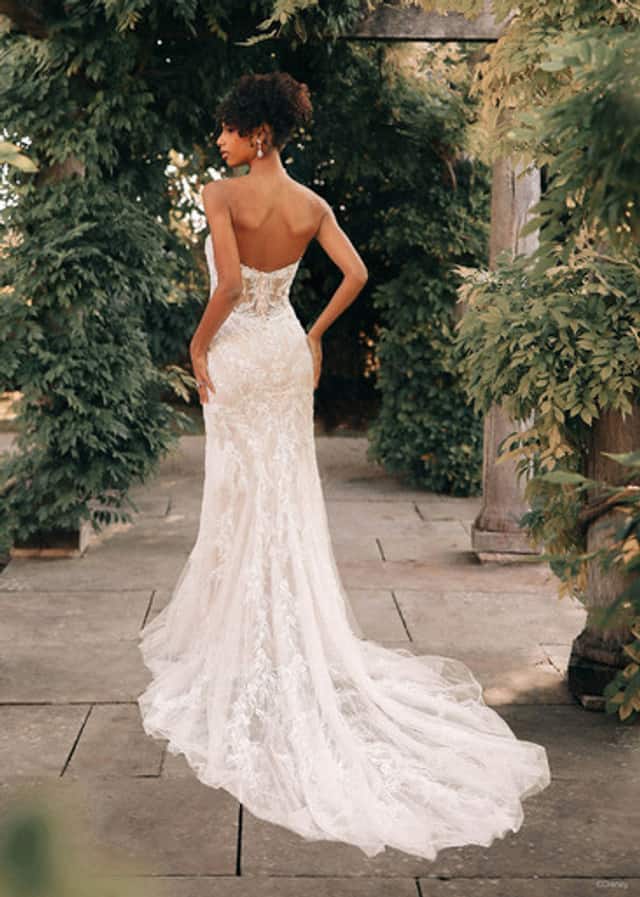 Model wears Tiana inspired wedding dress