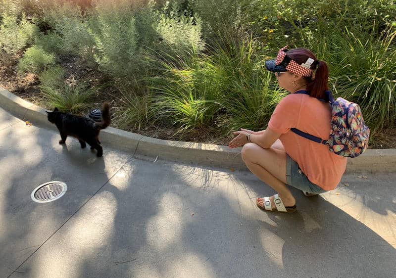 Woman kneels next to black cat