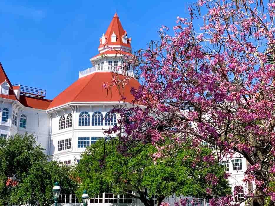 A large white building at Grand Floridian Resort with pink blossoms in front of it.